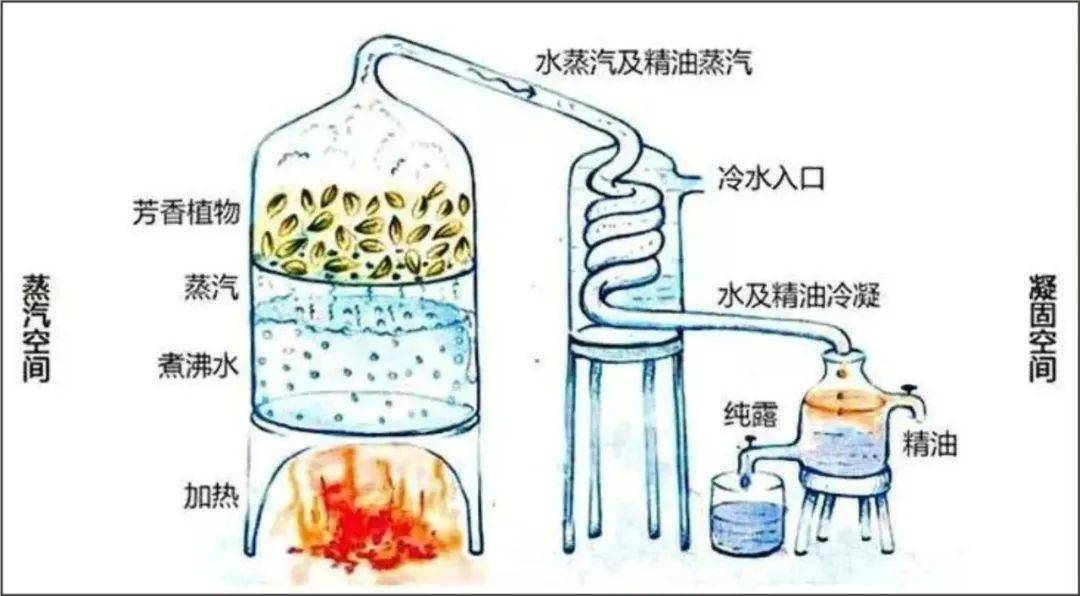 德国队大胜在即全明星出战！！德国vs希腊，竞彩单关重心分析推荐比分预测